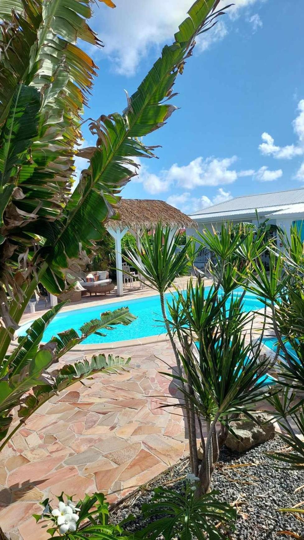 Tiko Lodge Sxm Quarter of Orleans Екстер'єр фото
